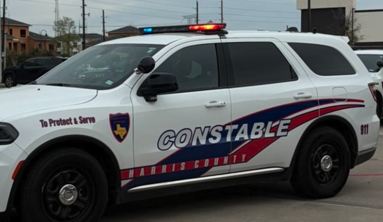 Tomball Parkway Shock: Apartment Robber Pistols Resident, Bolts On Foot