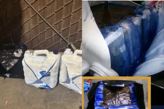 Trusted Traveler Busted With 41 Pounds of Cocaine at Otay Mesa Crossing