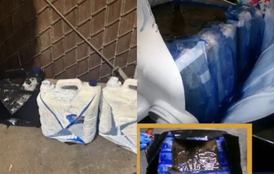 Trusted Traveler Busted With 41 Pounds of Cocaine at Otay Mesa Crossing