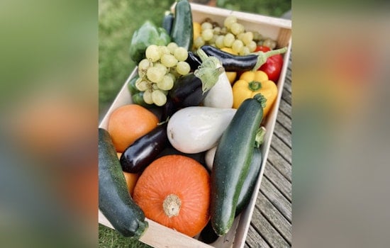Tulsa’s FreshRx Slashes Diabetes, Feeds Local Farms