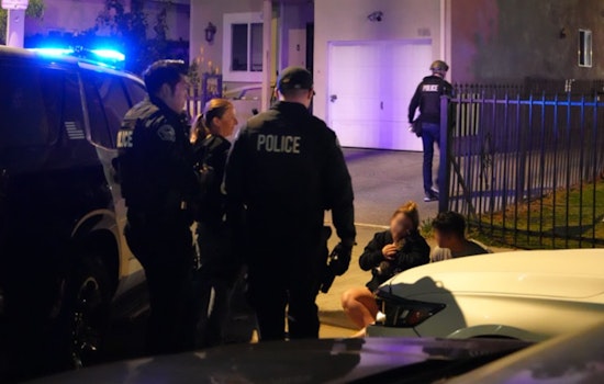 Two Arrested in Manhattan Beach Home Burglary