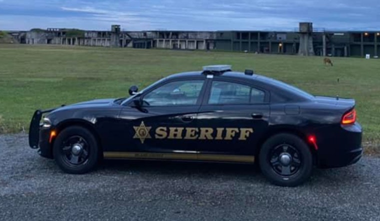 Two Young Cats Found Dead in Oak Harbor, 25-Year-Old Hit With Felony Charge