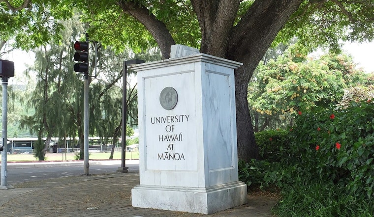 UH Mānoa Docs Tell Hawaiʻi Dads Their Health Can Make or Break Baby’s Start