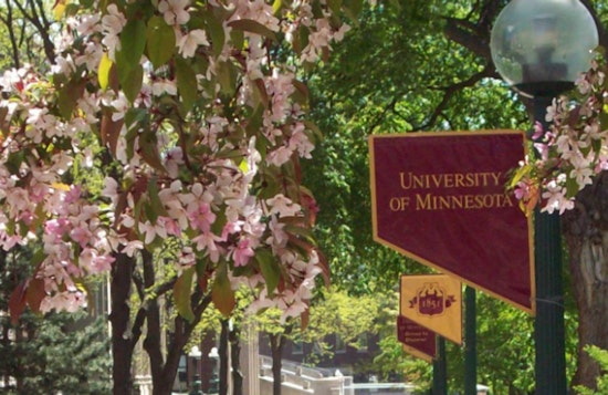 UMN Graduate Fellows Challenge University Over Union Exclusion