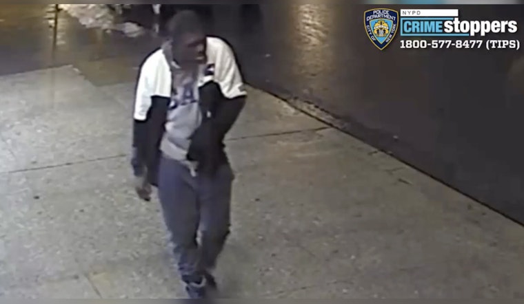 Upper East Side Creep on the Run After Shoving 65-Year-Old Woman to Pavement