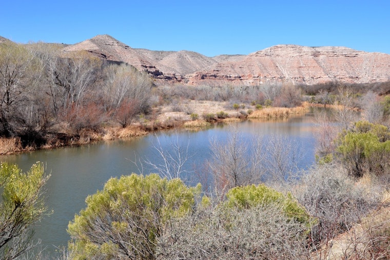 Verde River’s C+ Health Grade Exposes Trouble Beneath the Surface