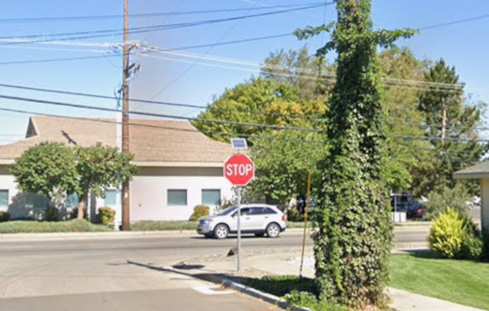 Viral Puyallup TikTok Turns HOA Tiff Into Arrest And Realtor Meltdown
