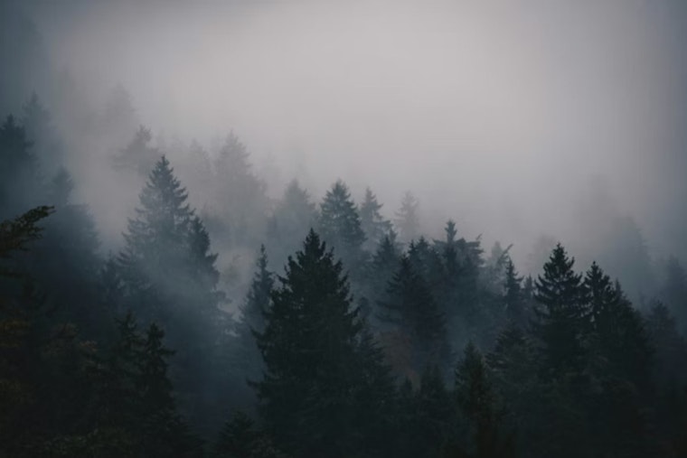 Warm Storms And Fog Hit New Orleans Today