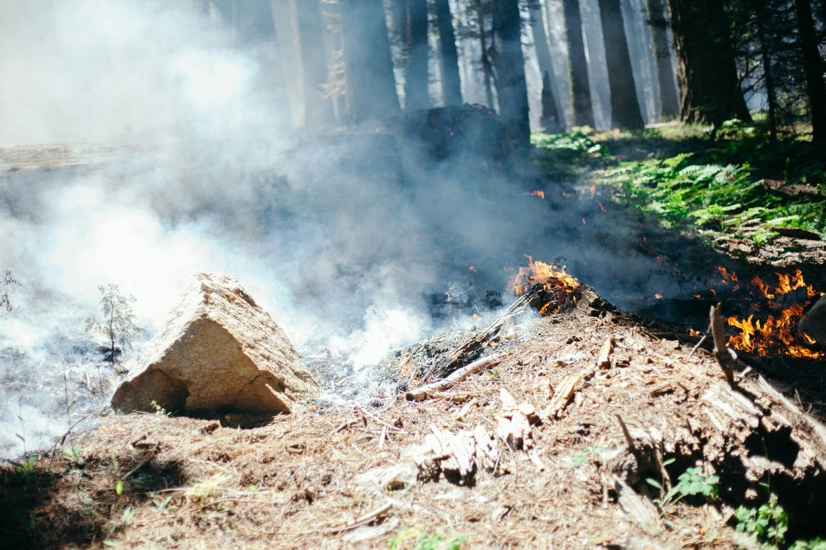Warm Winds, Dry Lawns: Raleigh On Edge As Burn Ban Kicks In
