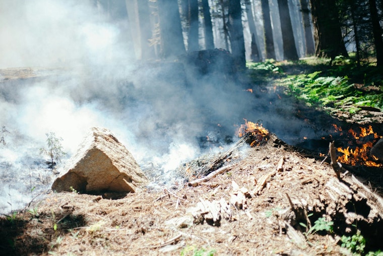 Warm Winds, Dry Lawns: Raleigh On Edge As Burn Ban Kicks In