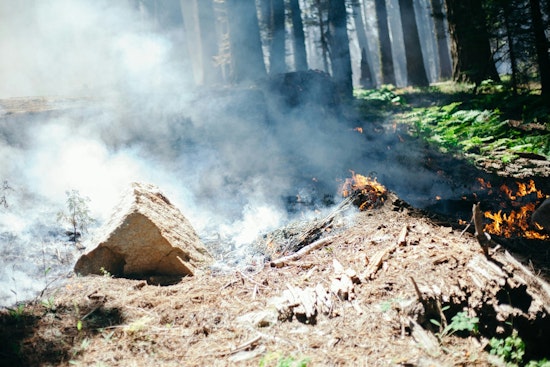 Warm Winds, Dry Lawns: Raleigh On Edge As Burn Ban Kicks In