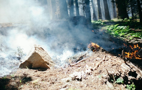 Warm Winds, Dry Lawns: Raleigh On Edge As Burn Ban Kicks In