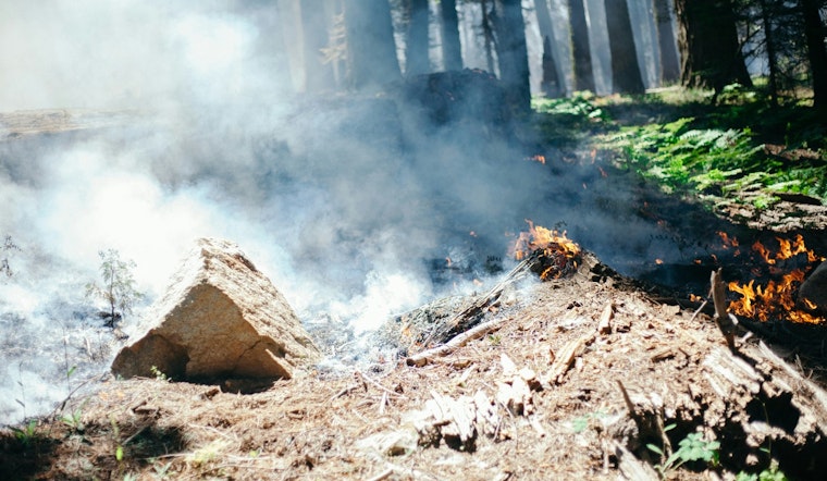 Warm Winds, Dry Lawns: Raleigh On Edge As Burn Ban Kicks In