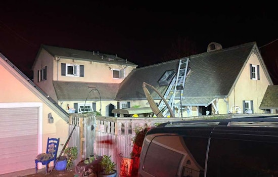 Watsonville Firefighters Plunge Into Smoke-Filled Home, Save Two Cats In Late-Night Blaze