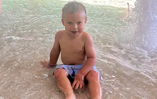 Weatherford Toddler Clings To Life After Bunk Bed Pit Bull Mauling