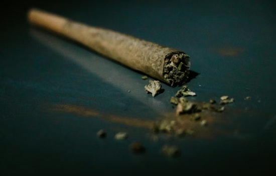 Weed Windfall: Bay County Rakes In Nearly $1 Million As Pot Tax Cash Hits Local Coffers