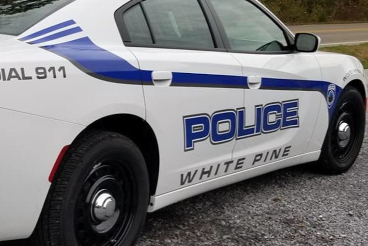 White Pine Cops Nab 58-Year-Old In Child Sex Abuse Probe