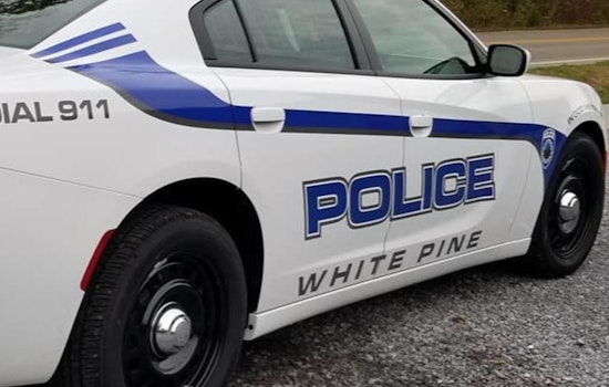 White Pine Cops Nab 58-Year-Old In Child Sex Abuse Probe
