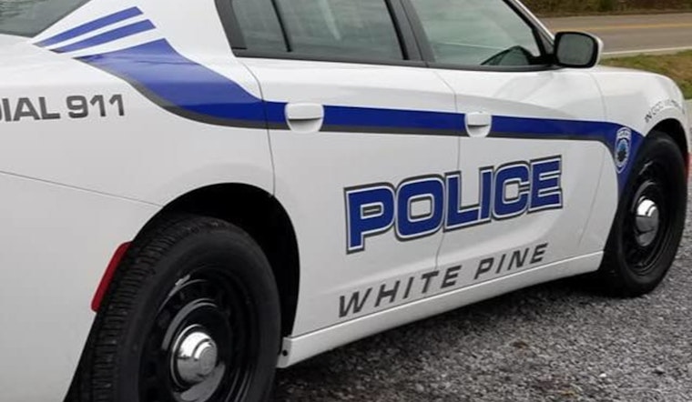 White Pine Cops Nab 58-Year-Old In Child Sex Abuse Probe
