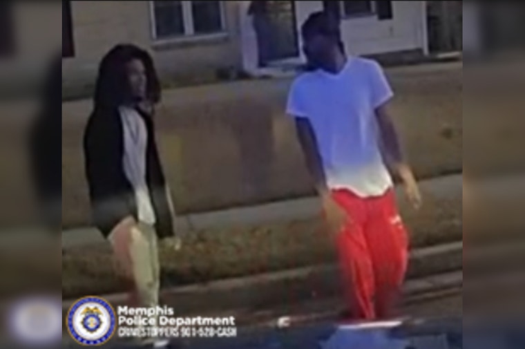 Whitehaven Manhunt for Duo in Deadly Late-Night Hit-and-Run