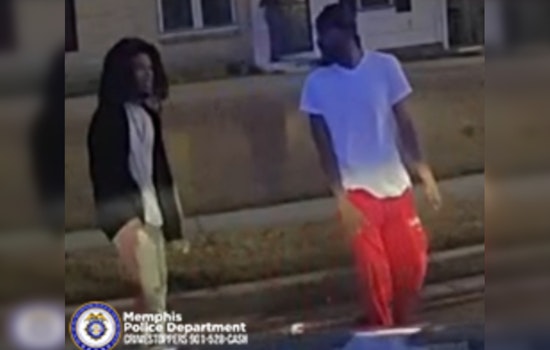 Whitehaven Manhunt for Duo in Deadly Late-Night Hit-and-Run