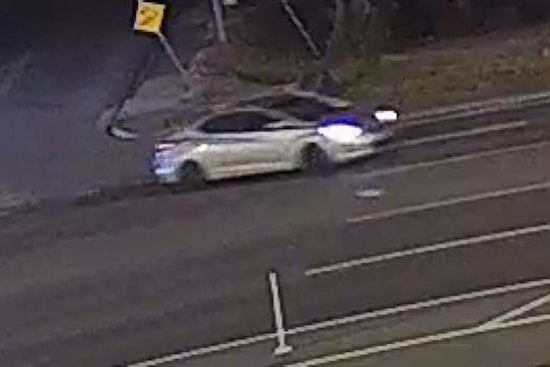 Wilson County Seeks Help After Old Hickory Murder