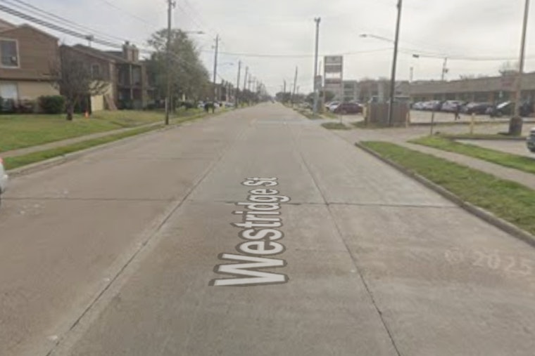 Woman Shot In Neck Outside NRG Park As Hoodie-Wearing Suspect Bolts
