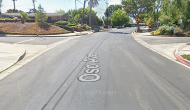 Woodland Hills Standoff Ends With Arrest Near Oso Avenue