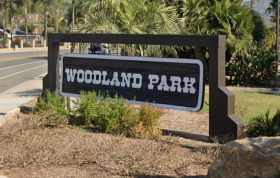 Woodland Park Horror, Yolo DA Weighs Charges In Fatal Dog Mauling