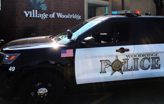 Woodridge Target Bust Turns Ugly As Cop Hit By Getaway Car