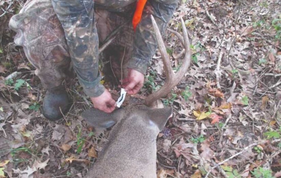 'Zombie Deer' Case in Ouachita Puts Four North Louisiana Parishes on Edge