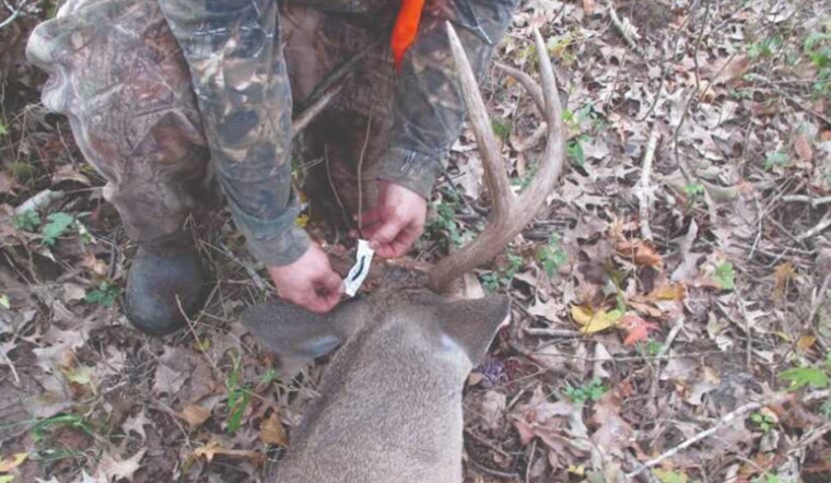'Zombie Deer' Case in Ouachita Puts Four North Louisiana Parishes on Edge