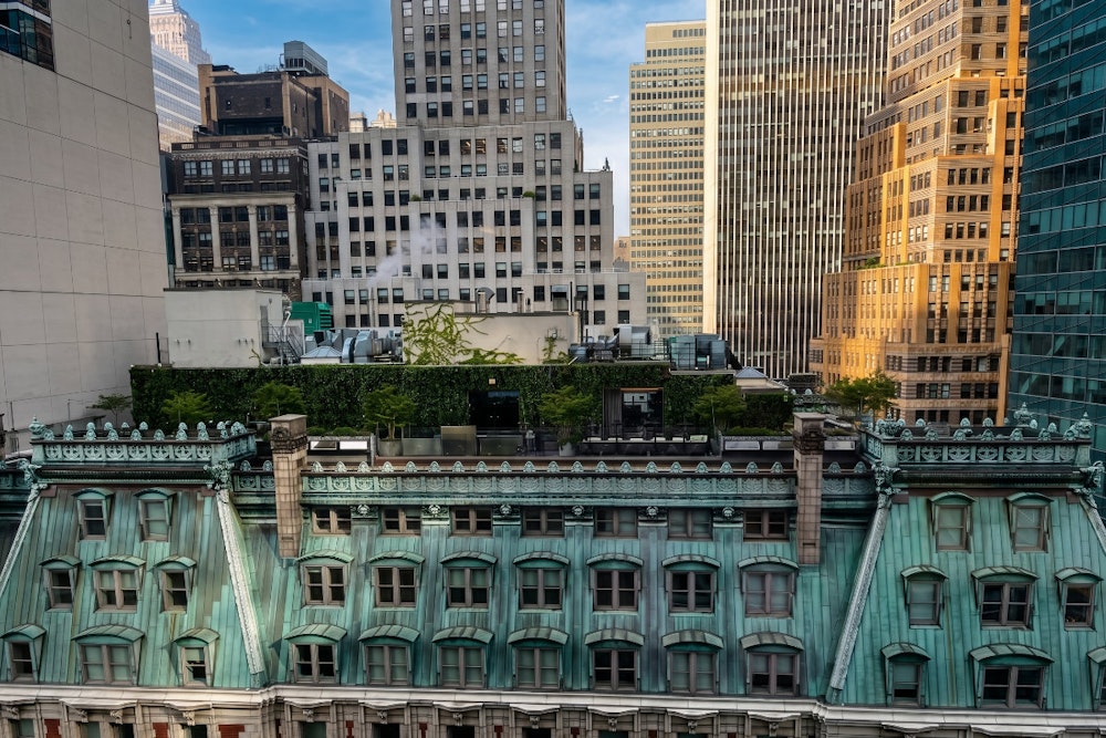 20+ Michelin Stars, Two James Beard Awards — Then Flies and Bad Fish at Chef Palmer's NYC Rooftop Bar