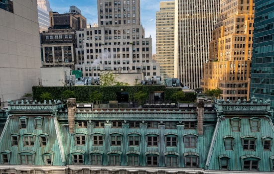20+ Michelin Stars, Two James Beard Awards — Then Flies and Bad Fish at Chef Palmer's NYC Rooftop Bar