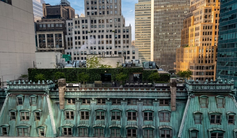 20+ Michelin Stars, Two James Beard Awards — Then Flies and Bad Fish at Chef Palmer's NYC Rooftop Bar