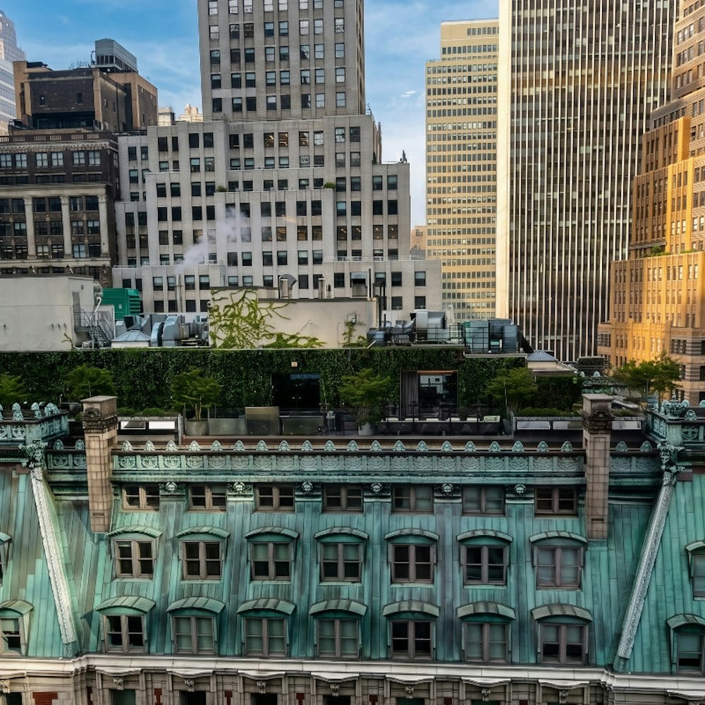 20+ Michelin Stars, Two James Beard Awards — Then Flies and Bad Fish at Chef Palmer's NYC Rooftop Bar