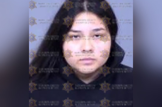 7th Avenue Road-Rage Clash Leaves Man Dead, Phoenix Driver Hit With Manslaughter Charge