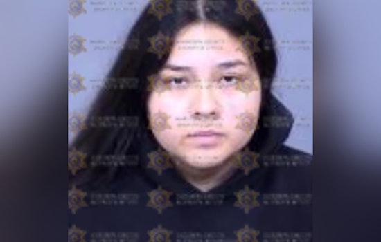 7th Avenue Road-Rage Clash Leaves Man Dead, Phoenix Driver Hit With Manslaughter Charge