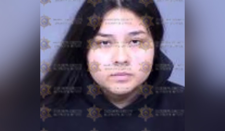 7th Avenue Road-Rage Clash Leaves Man Dead, Phoenix Driver Hit With Manslaughter Charge
