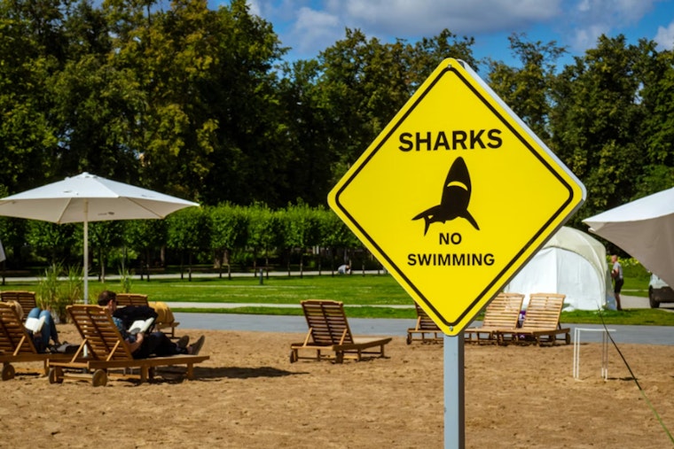 Aggressive Shark Sighting Puts Diamond Head On Edge As Warnings Go Up