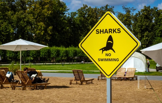 Aggressive Shark Sighting Puts Diamond Head On Edge As Warnings Go Up