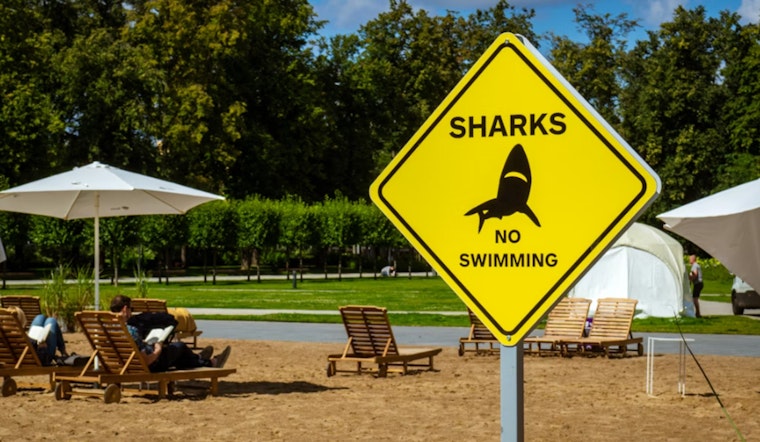 Aggressive Shark Sighting Puts Diamond Head On Edge As Warnings Go Up