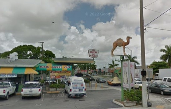 Allapattah’s Camel Bakery Slammed As Inspectors Dump Dozens Of Pastelitos