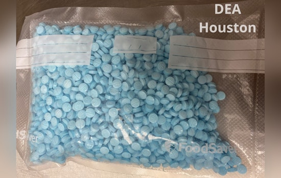 Alleged Houston Drug Ring Leader Gets 25 Years In Homeland Security Task Force Crackdown