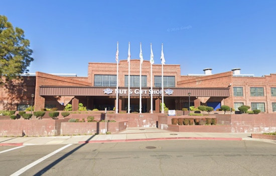 Almond Giant Blinks, Keeps Slice Of Midtown Sacramento Plant Alive