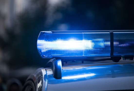 Antisemitic Taunts Prompt Park Investigations In Skokie, Evanston