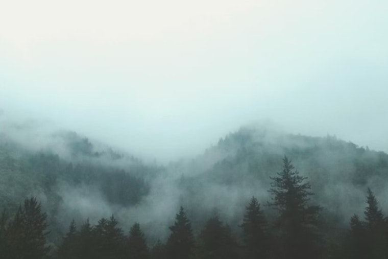 Atlanta Wakes In A Fog, Soaks Up Mid‑80s Sun By Lunch