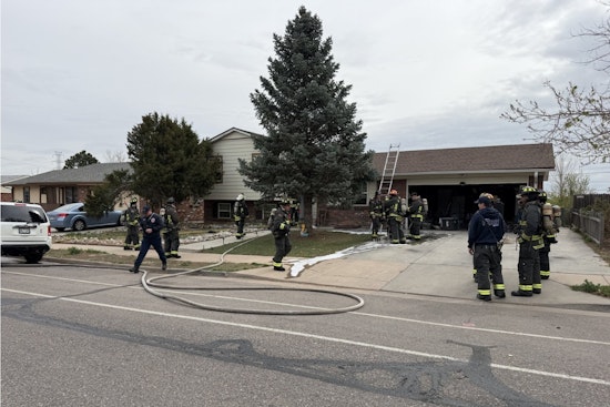 Aurora Blaze Boots Family and Pets From South Potomac Home
