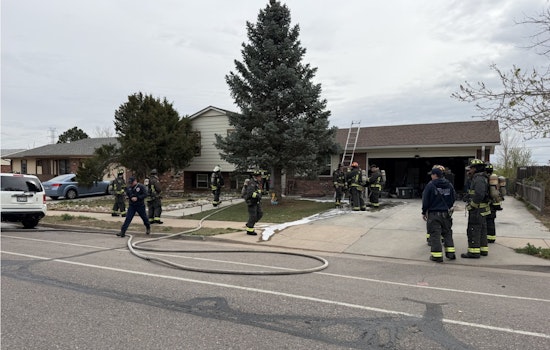 Aurora Blaze Boots Family and Pets From South Potomac Home