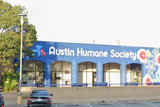 Austin Shelter Stunned as Woman Allegedly Sneaks Tiny Pup Out in Tote Bag